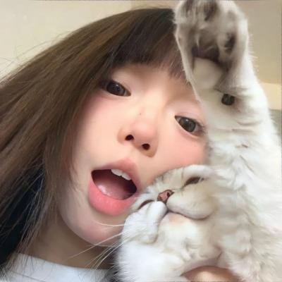 拳脚之路